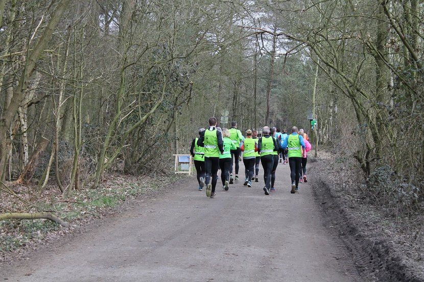 Bosloop Brecht - 43